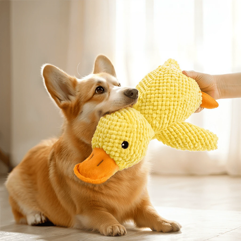 Dog Calming Duck Toy