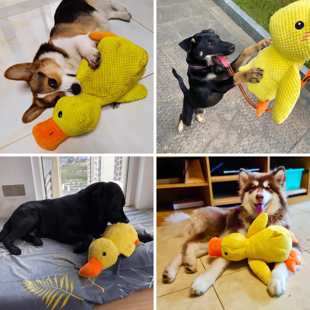 Dog Calming Duck Toy